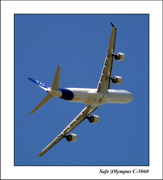 2005   06   A340   16.jpg